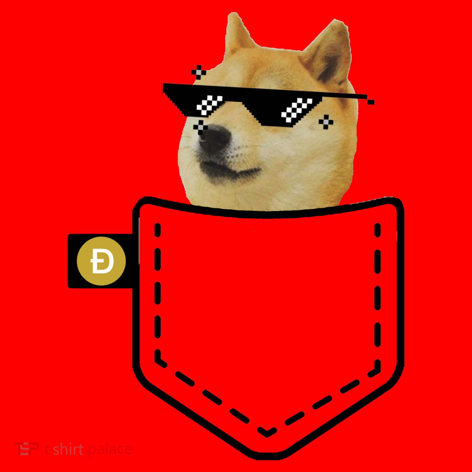 Dogecoin Pocket Doge Coin Santa Hat