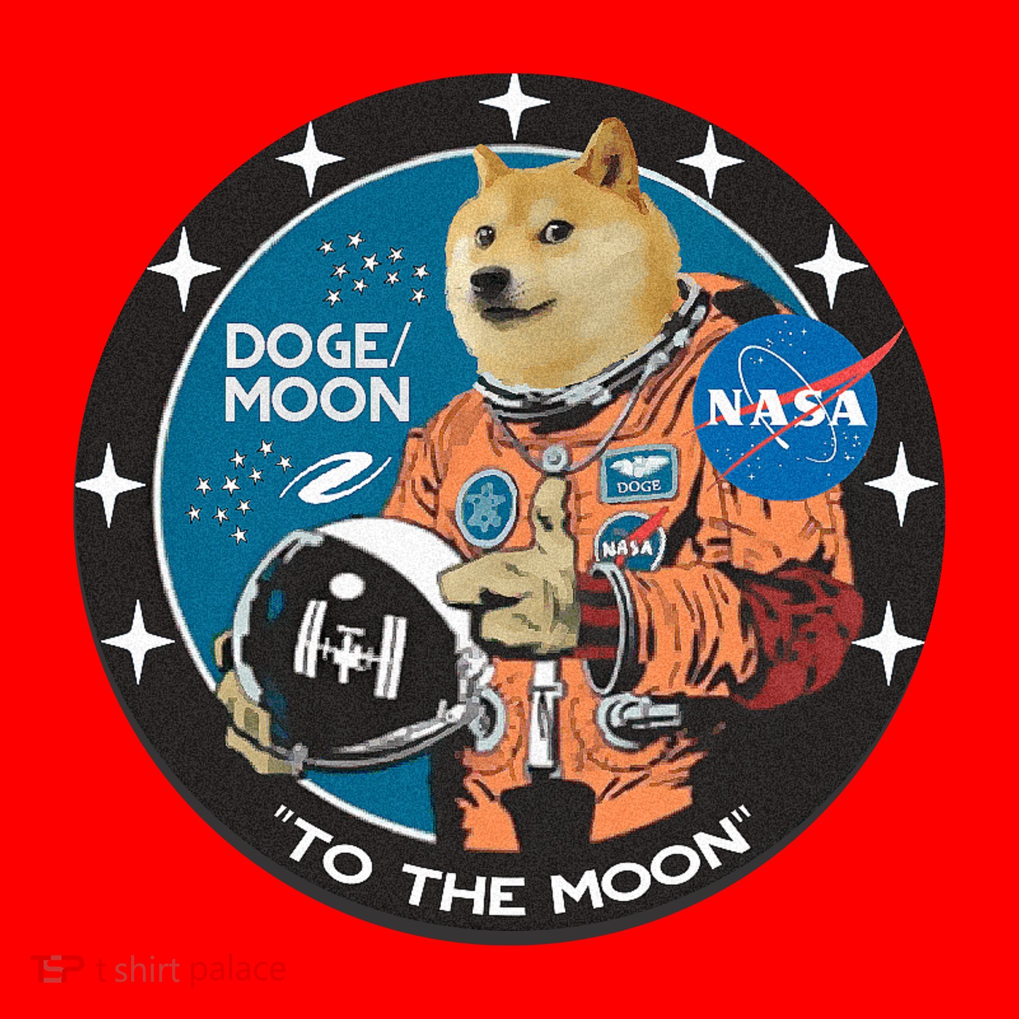 Dogecoin To The Moon Astronaut Santa Hat
