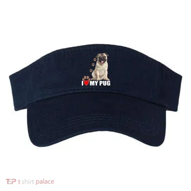 Visor