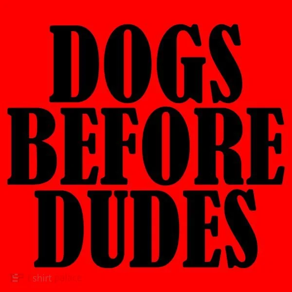 Dogs Before Dudes Santa Hat