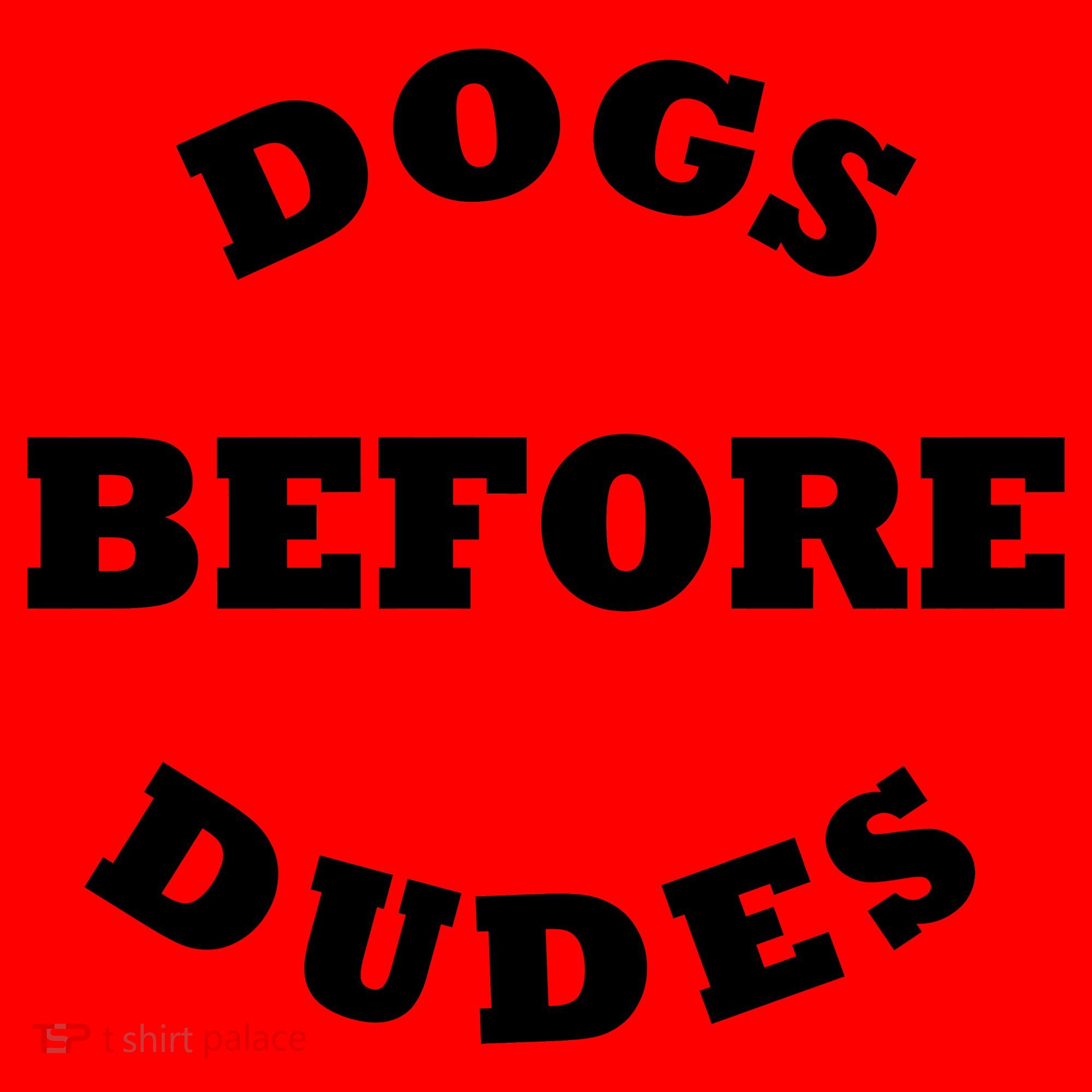 Dogs Before Dudes Funny Saying Santa Hat