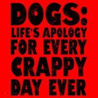 Dogs Life's Apology For Every Crappy Day Ever Santa Hat thumb 1