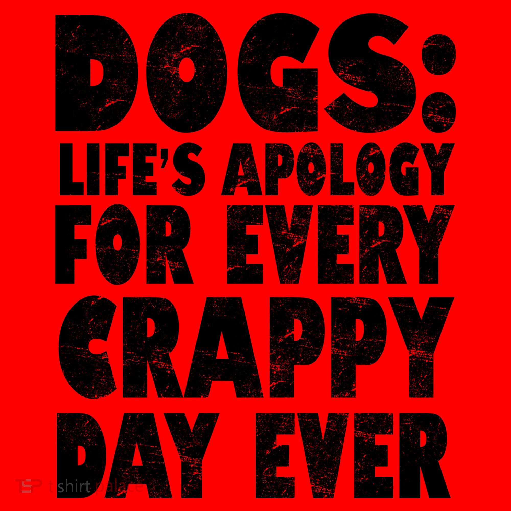 Dogs Life's Apology For Every Crappy Day Ever Santa Hat