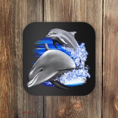 Dolphins Jumping Coaster