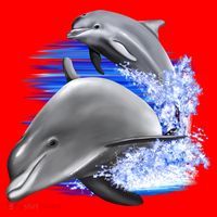 Dolphins Jumping Santa Hat thumb 1