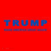 Donald Trump Election Make America Great Again Santa Hat thumb 1