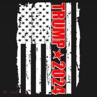 Donald Trump 2024 Distressed US Flag Sweatshirt thumb 3
