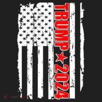 Donald Trump 2024 Distressed US Flag Beanie thumb 2