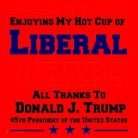 Donald Trump 45TH PRESIDENT POTUS Liberal Tears Santa Hat thumb 1