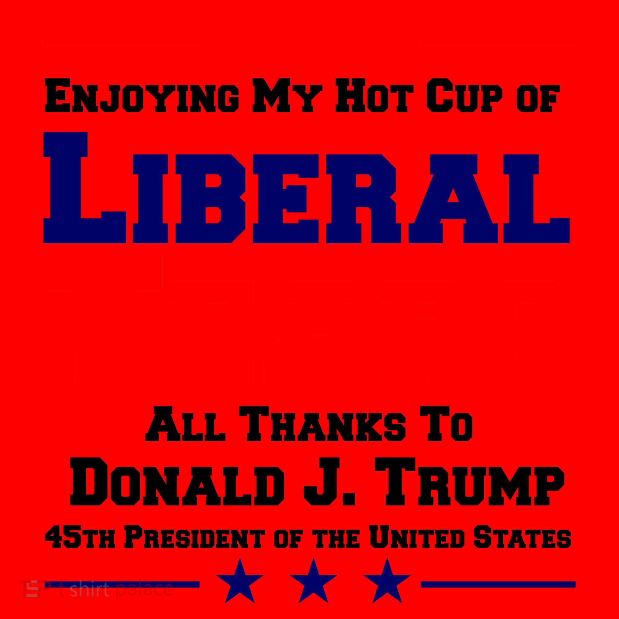 Donald Trump 45TH PRESIDENT POTUS Liberal Tears Santa Hat
