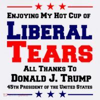 Donald Trump 45TH PRESIDENT POTUS Liberal Tears Hoodie thumb 7