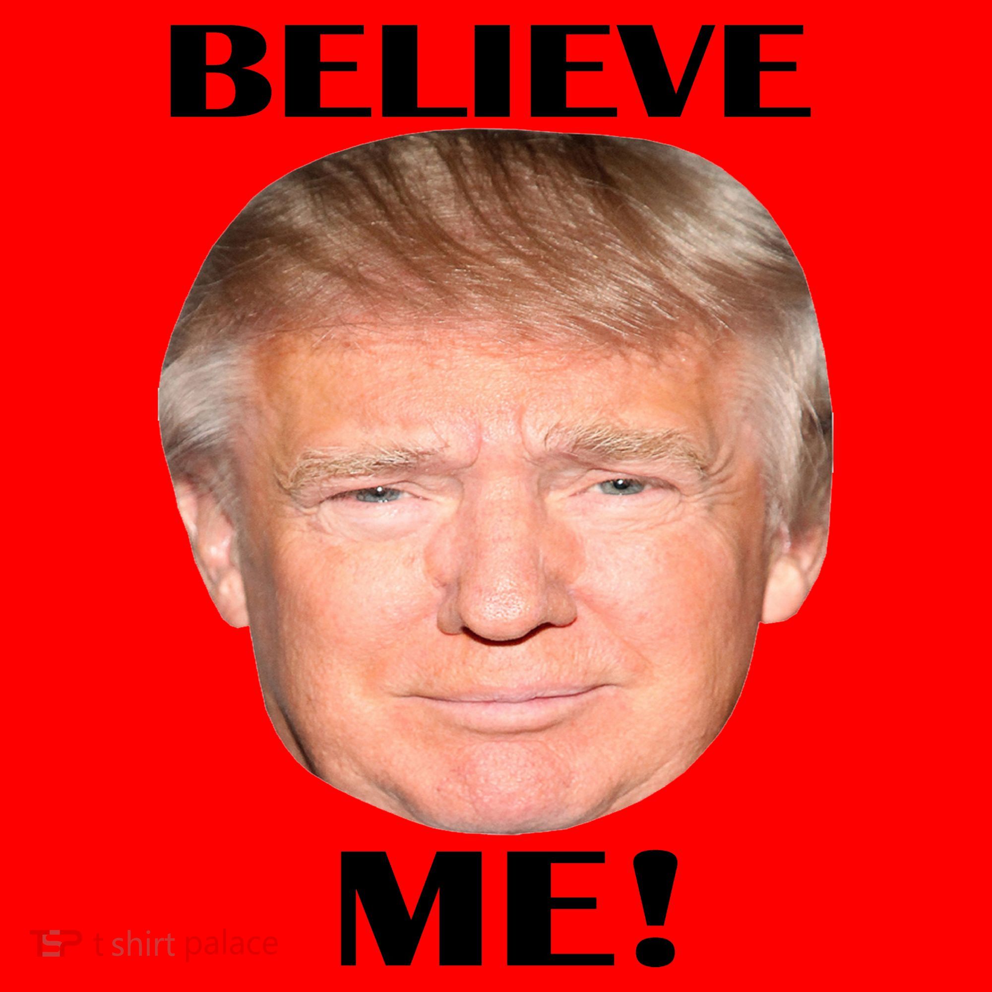 Donald Trump Believe Me Santa Hat
