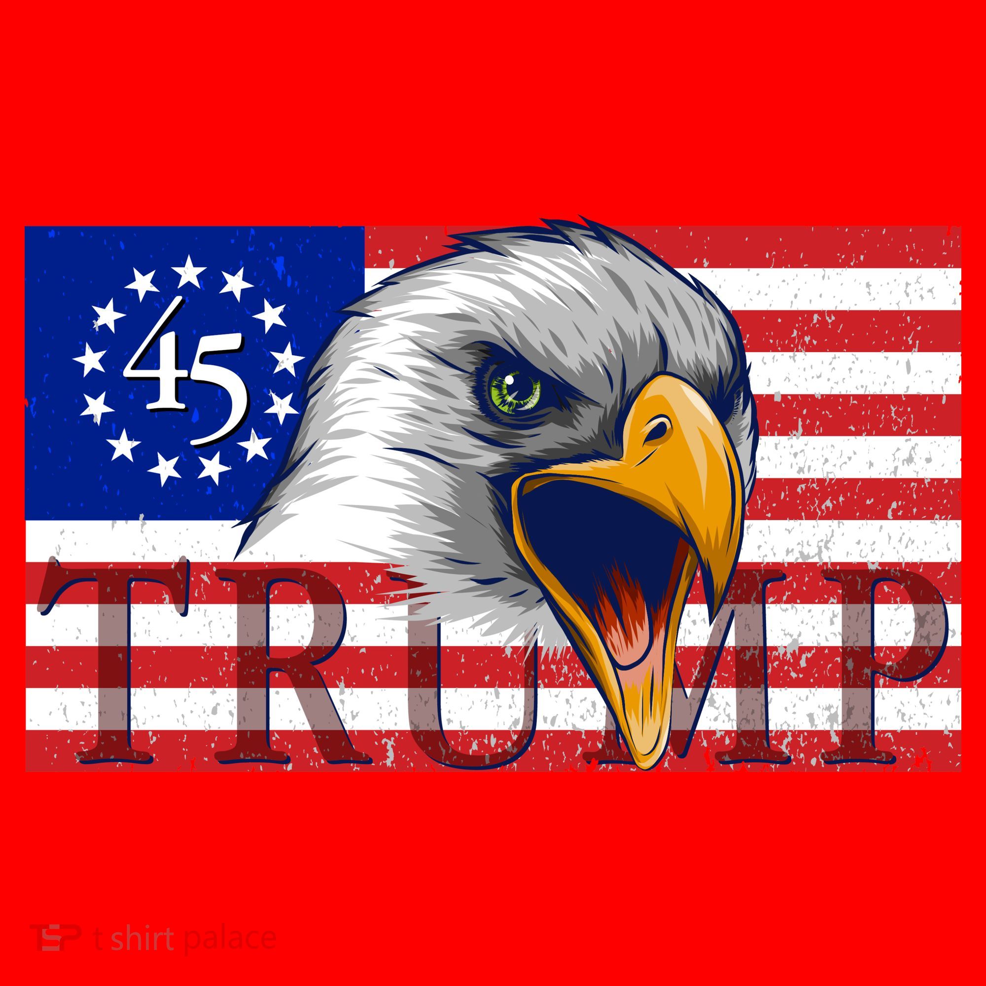 Donald Trump Eagle Betsy Ross Flag Santa Hat