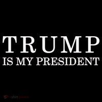 Donald Trump Is My President 45th POTUS Ornament thumb 1