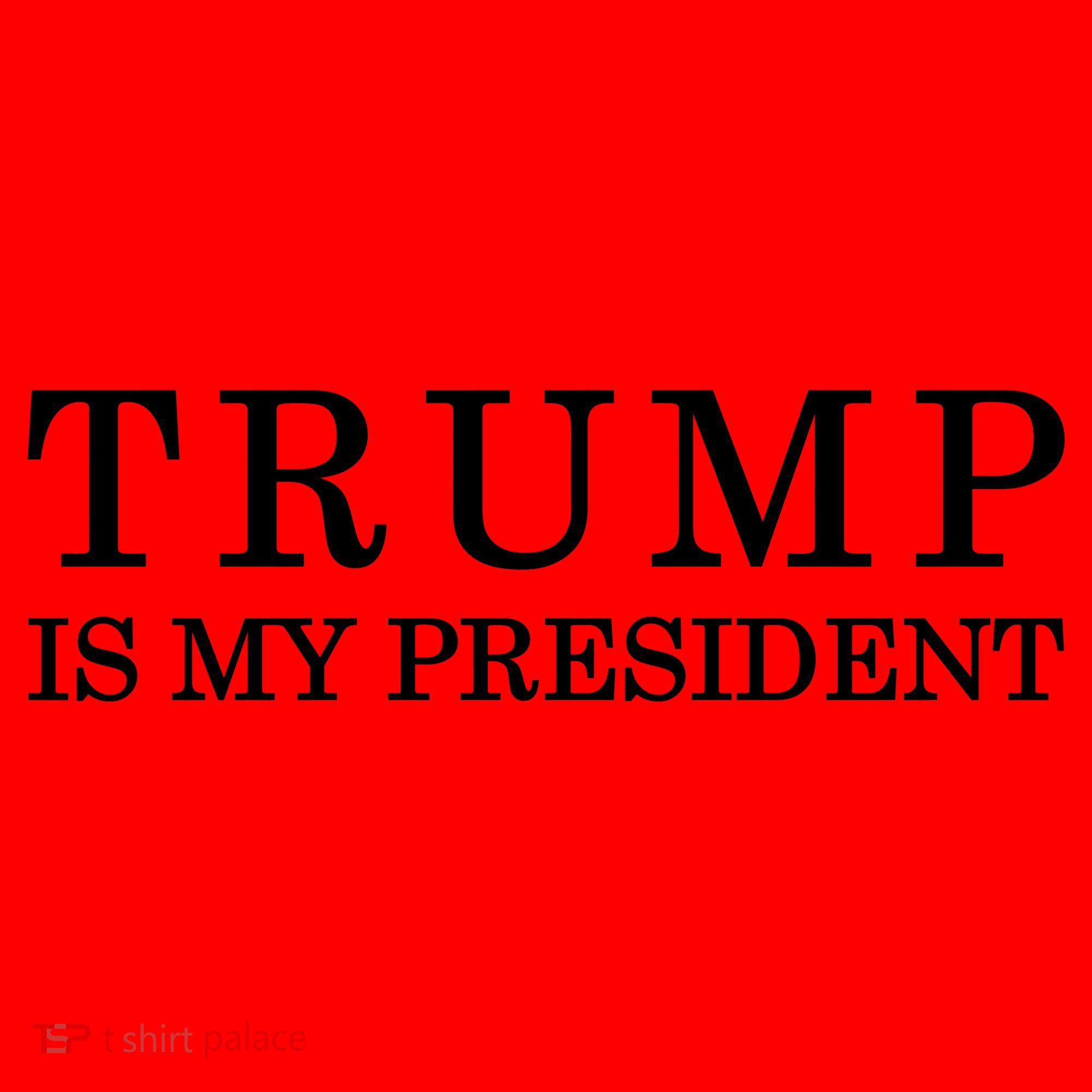 Donald Trump Is My President 45th POTUS Santa Hat