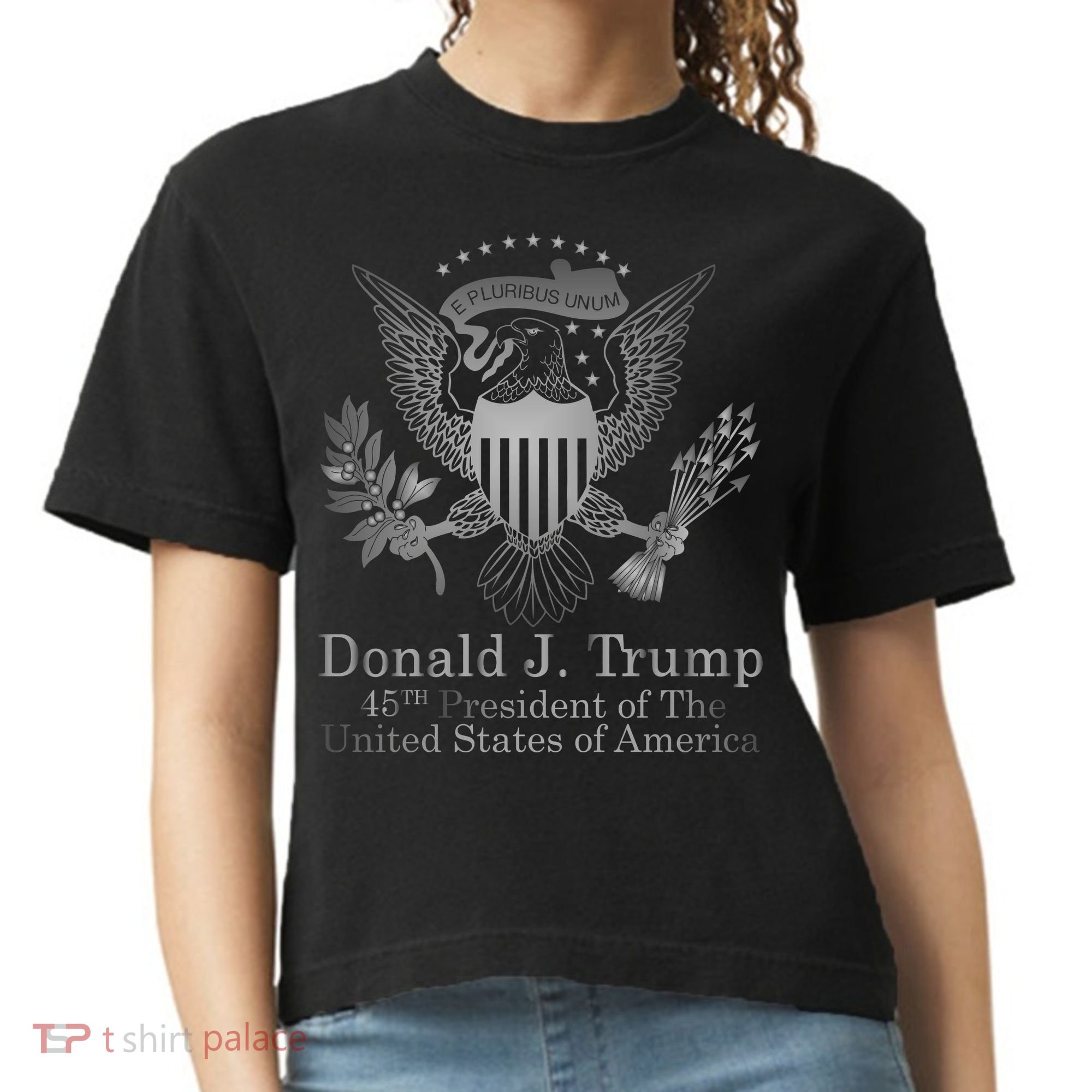 Donald Trump Presidential Seal USA 45th President Logo Comfort Colors Boxy T-Shirt