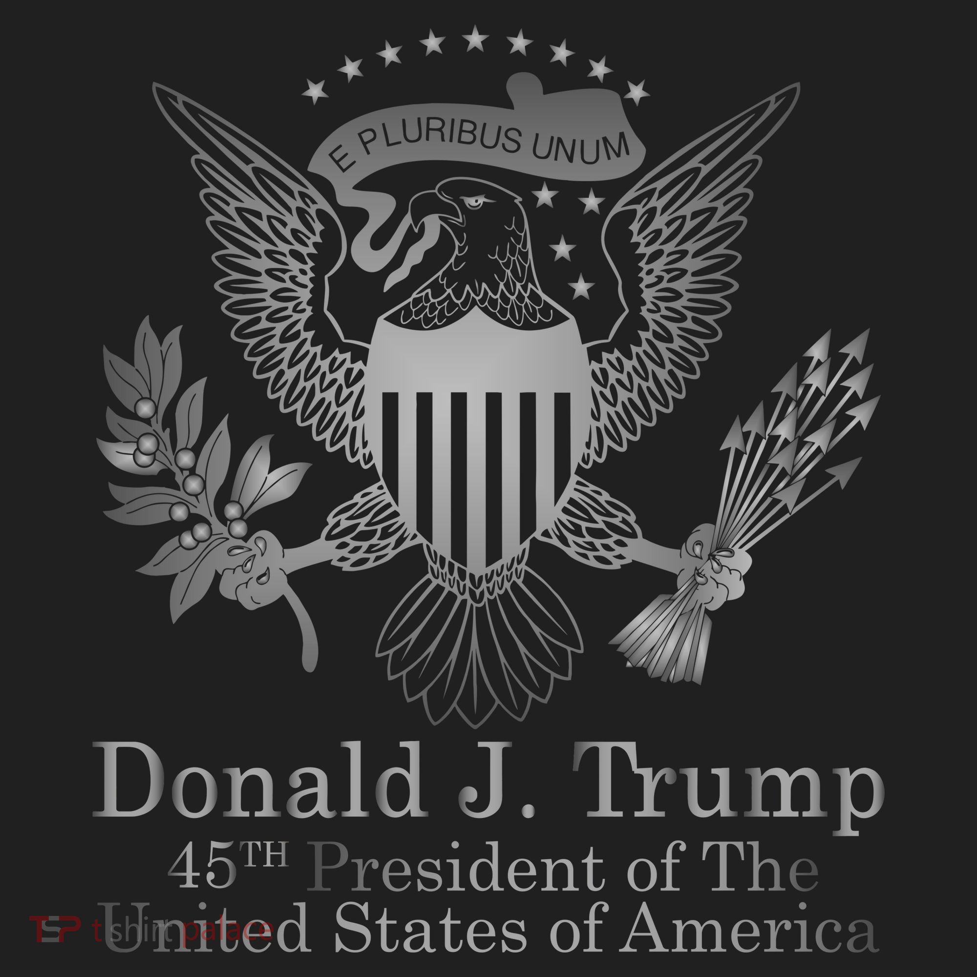 Donald Trump Presidential Seal USA 45th President Logo Comfort Colors Boxy T-Shirt