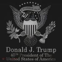Donald Trump Presidential Seal USA 45th President Logo Women's Hoodie thumb 2