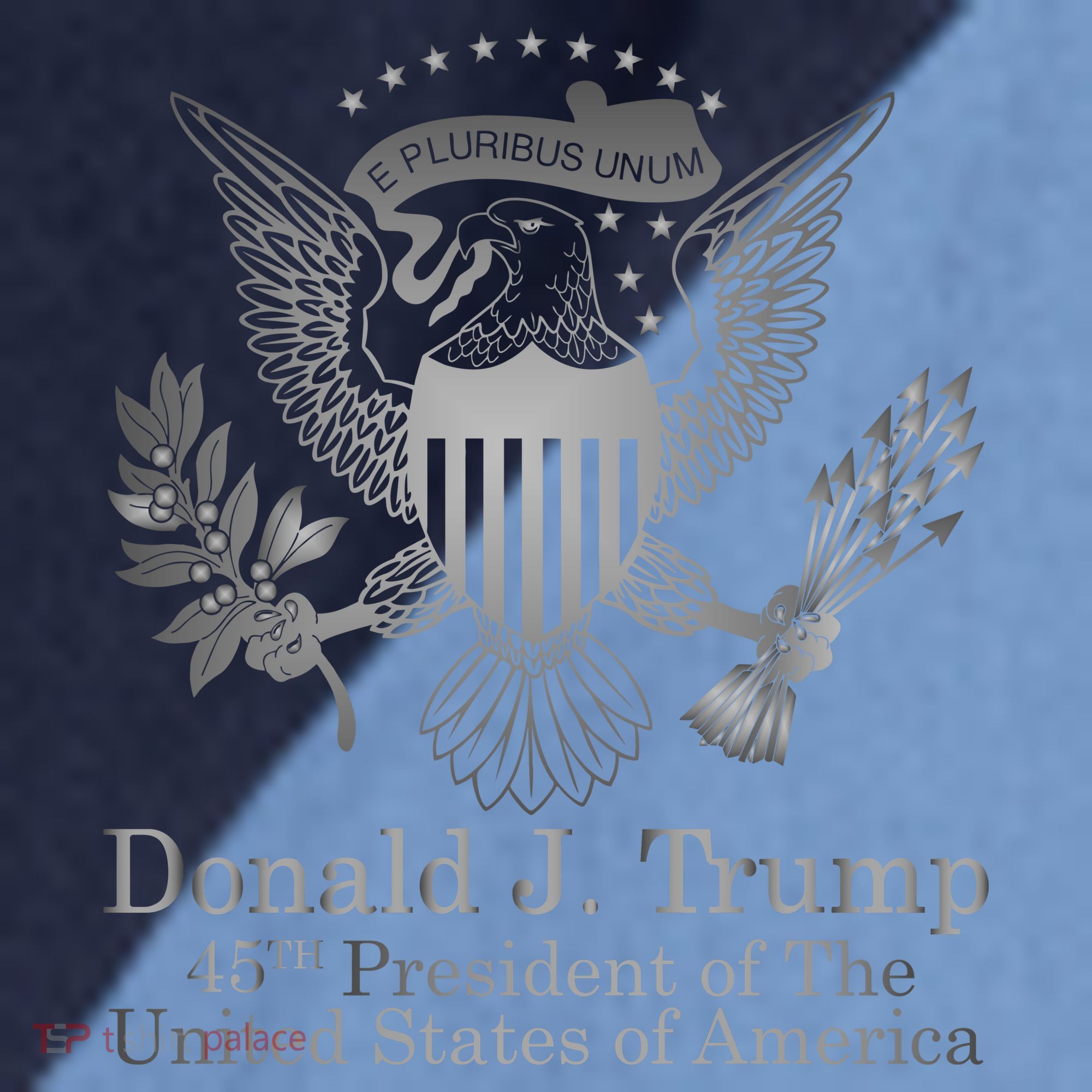 Donald Trump Presidential Seal USA 45th President Logo Raglan Baseball Sleeve Shirt