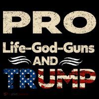 Donald Trump Pro Life God Gun Women's Hoodie thumb 2