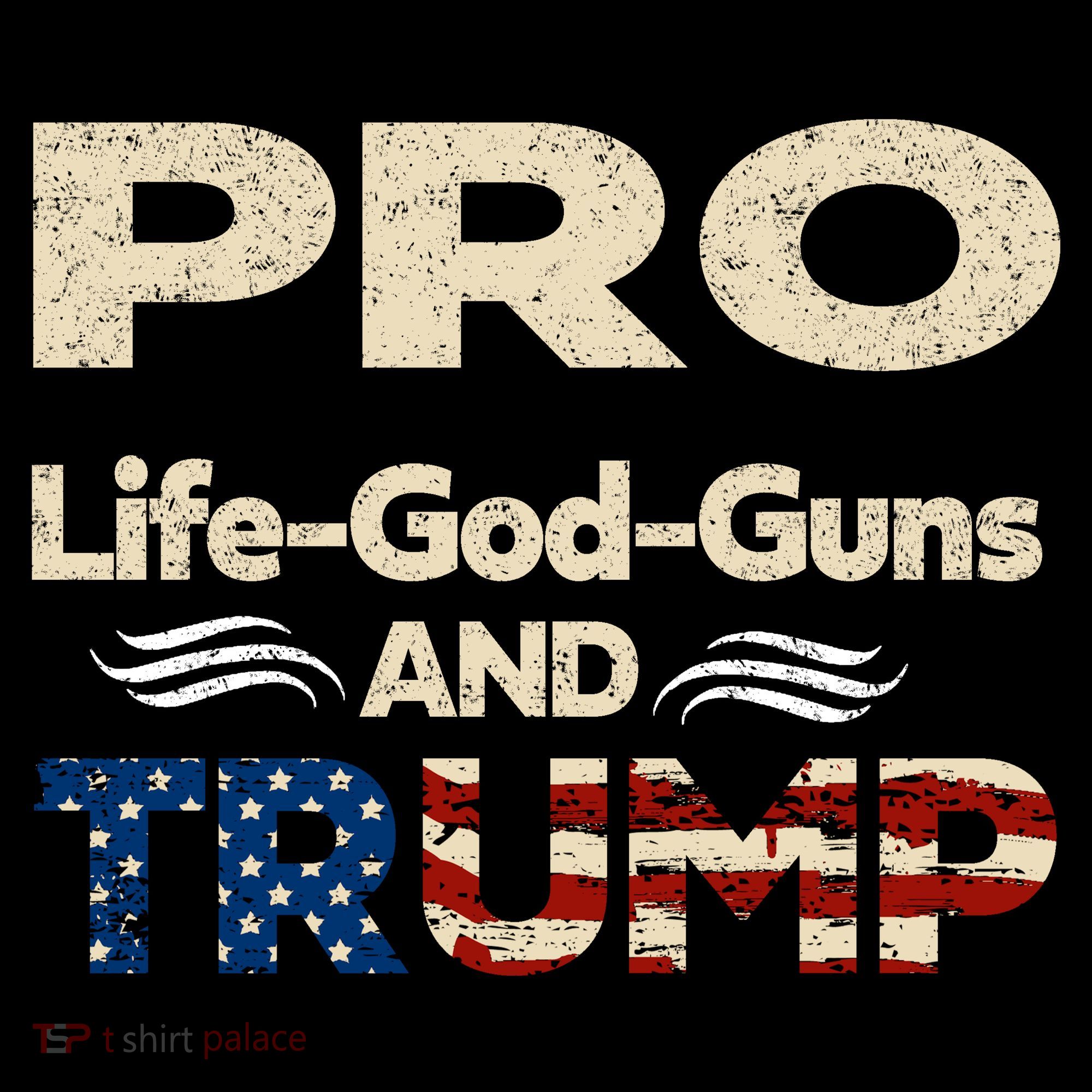 Donald Trump Pro Life God Gun Women's Hoodie