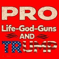 Donald Trump Pro Life God Gun Santa Hat thumb 1