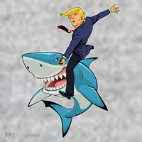 Donald Trump Shark President The Baniff Cuffed Pom Beanie thumb 2