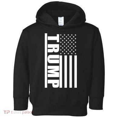 Donald Trump Simple Flag Toddler Hoodie