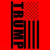 Donald Trump Simple Flag Santa Hat thumb 1