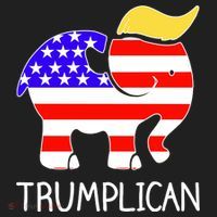 Donald Trump Trumplican 2020 Election Beanie thumb 2