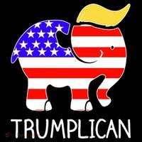 Donald Trump Trumplican 2020 Election Ornament thumb 1