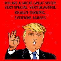 Donald Trump Your A Great Sister Santa Hat thumb 1