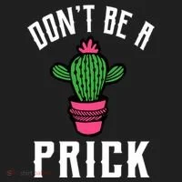 Don't Be A Prick Beanie thumb 2