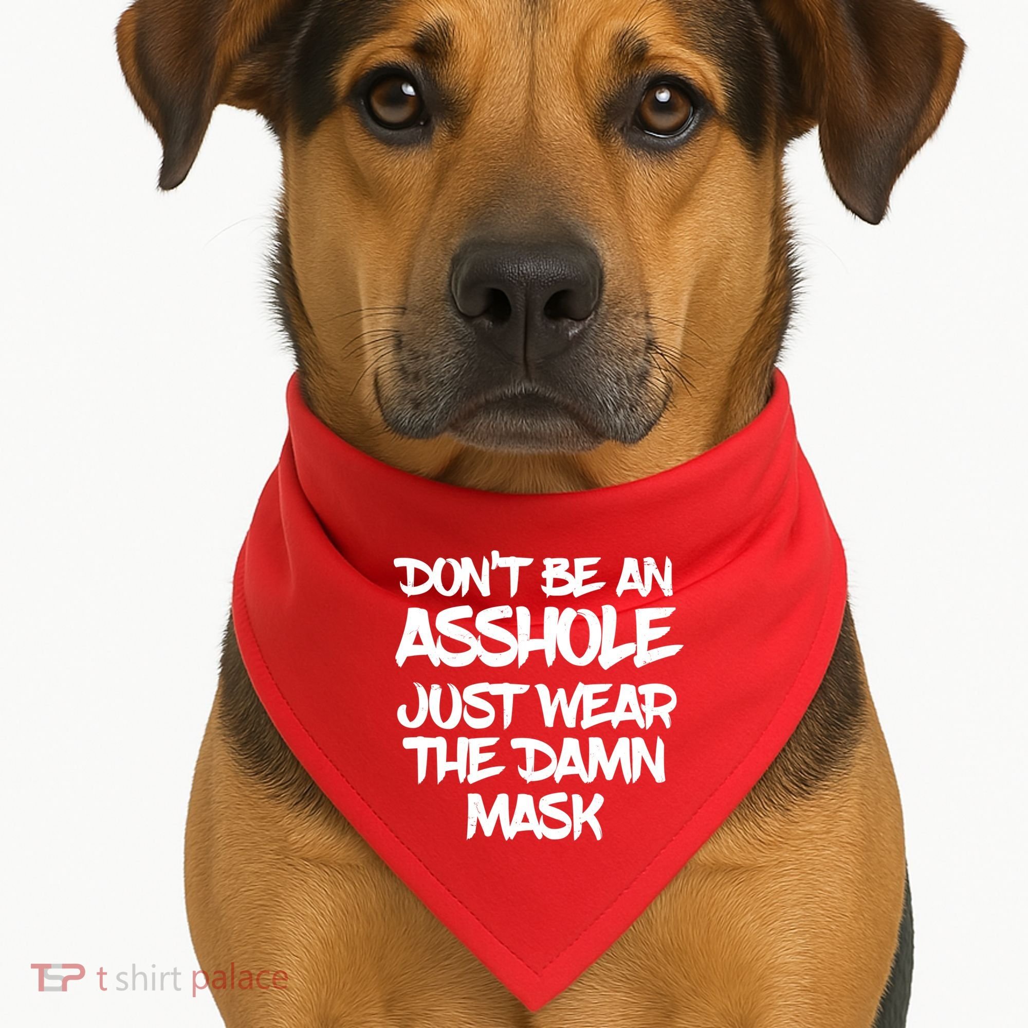 Don't Be An Asshole Just Wear The Damn Mask USA-Made Doggie Bandana