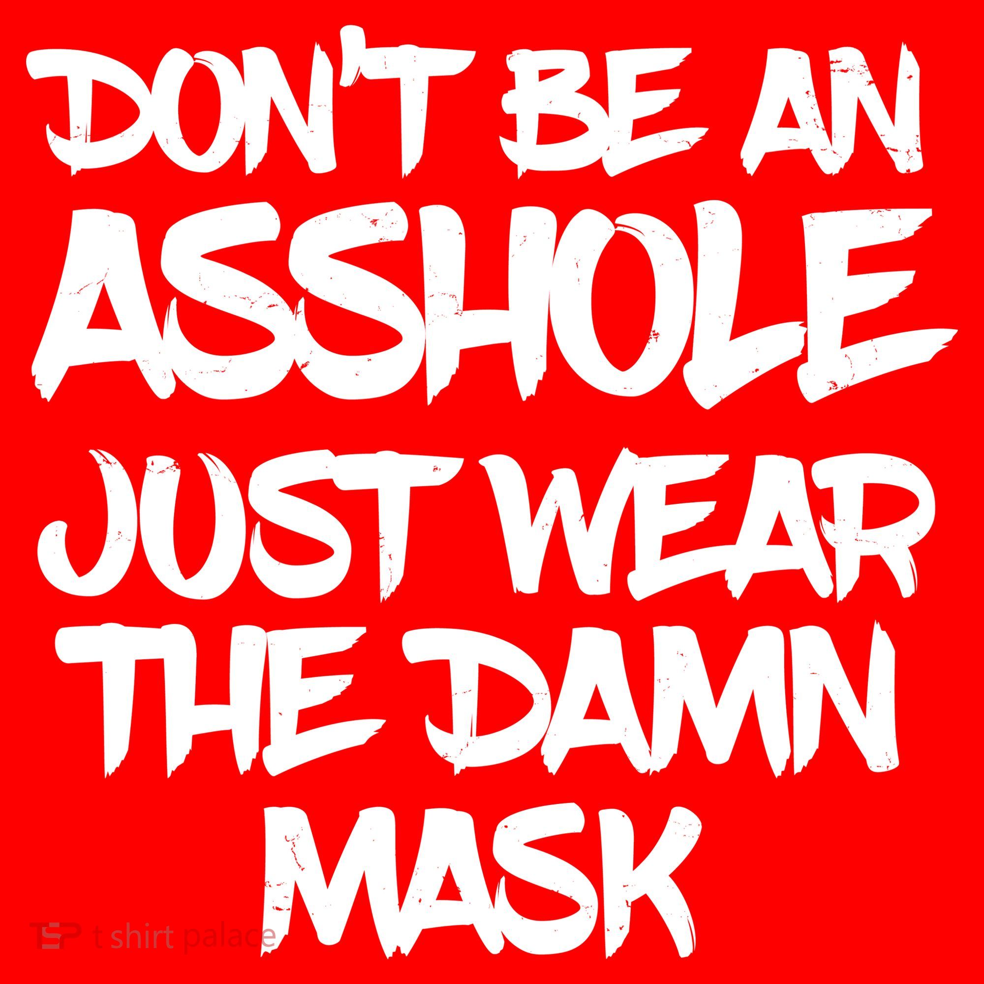 Don't Be An Asshole Just Wear The Damn Mask Ornament