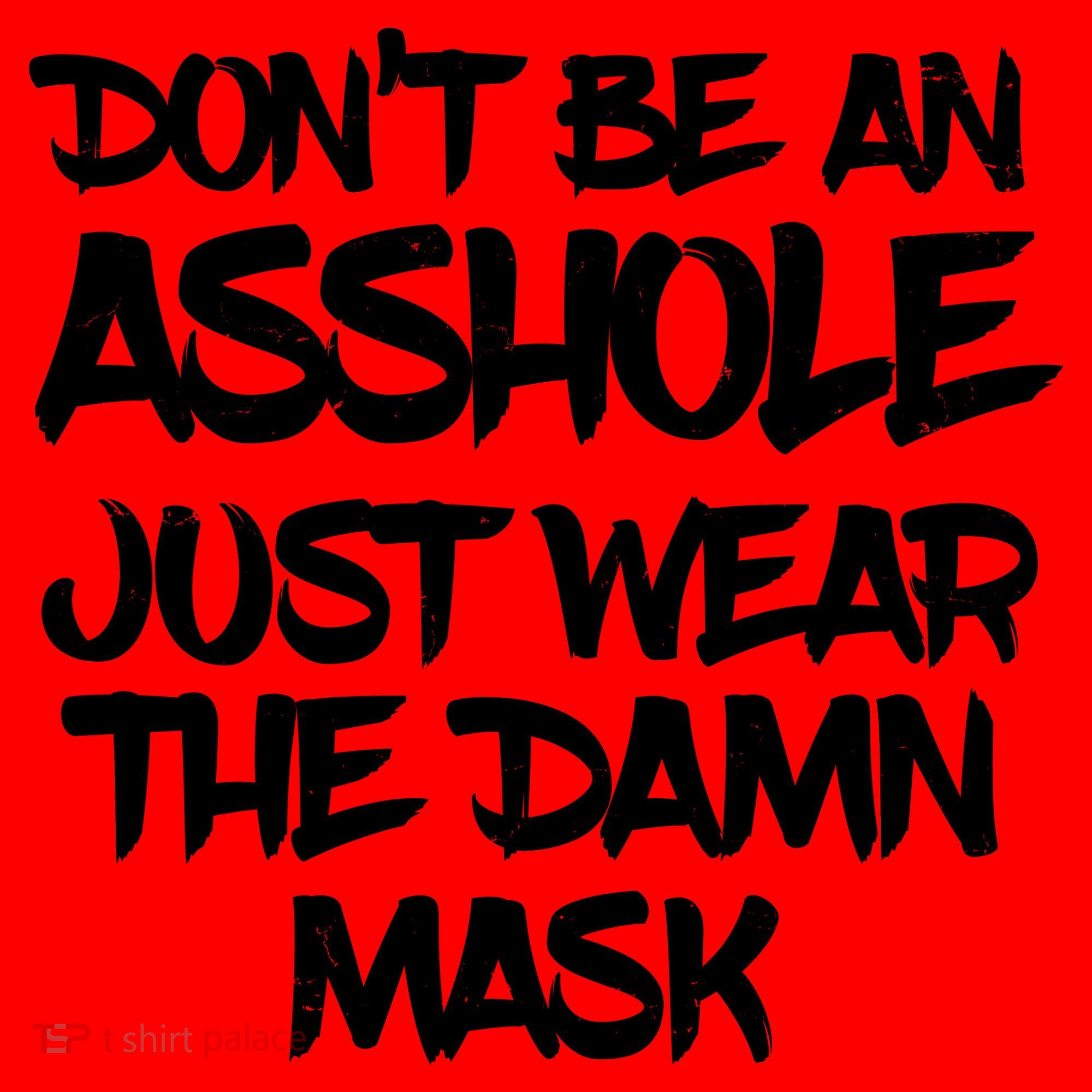 Don't Be An Asshole Just Wear The Damn Mask Santa Hat