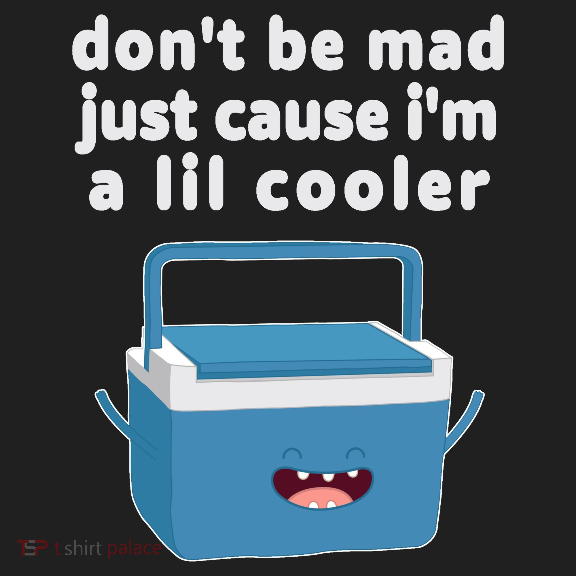 Don't Be Mad Just Cause I'm A Lil Cooler Funny Tumbler