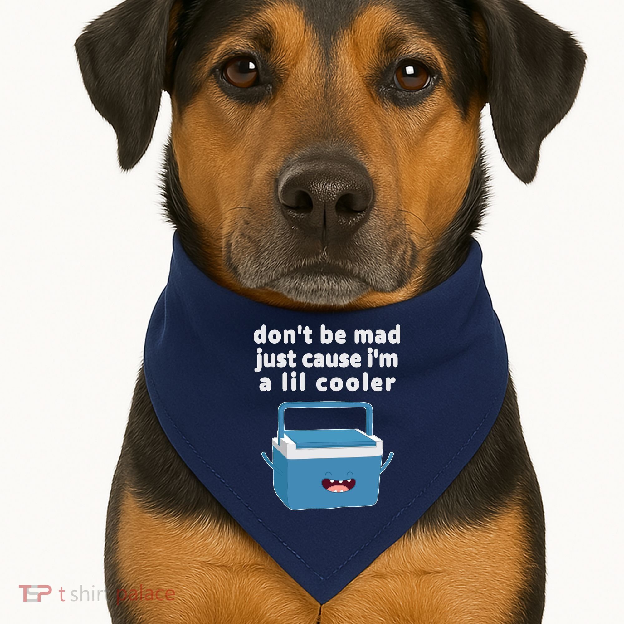 Don't Be Mad Just Cause I'm A Lil Cooler Funny USA-Made Doggie Bandana