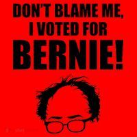 Don't Blame Me I Voted For Bernie Sanders Santa Hat thumb 1