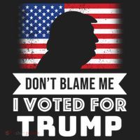 Don't Blame Me I Voted For Trump Beanie thumb 2