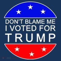 Don't Blame Me I Voted For Trump Pro Republican Women's Hoodie thumb 2