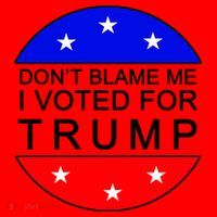 Don't Blame Me I Voted For Trump Pro Republican Santa Hat thumb 1