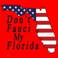 Don't Fauci My Florida Santa Hat thumb 1