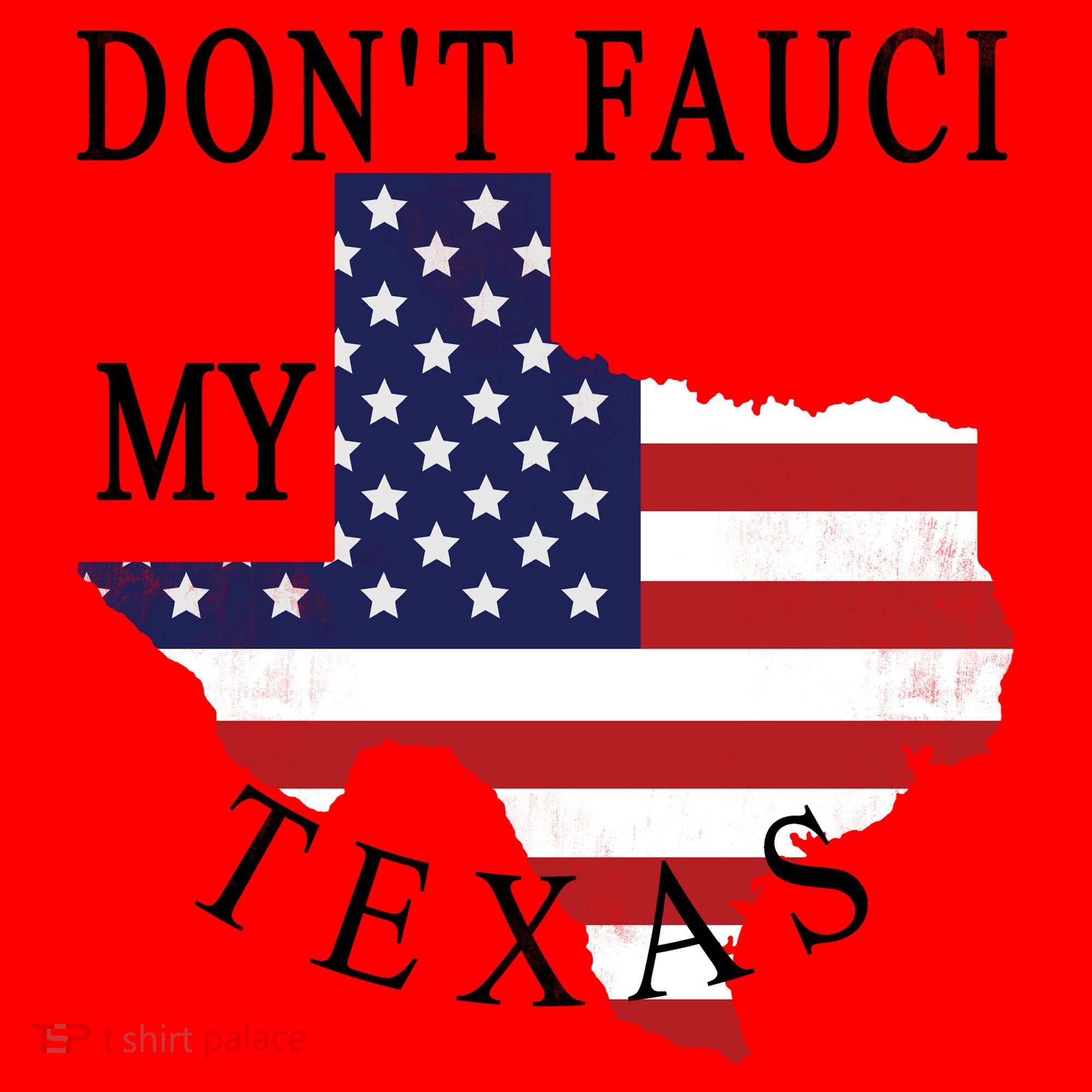 Don't Fauci My Texas Santa Hat