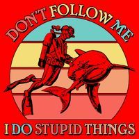 Don't Follow Me I Do Stupid Things Scuba Diver Santa Hat thumb 1