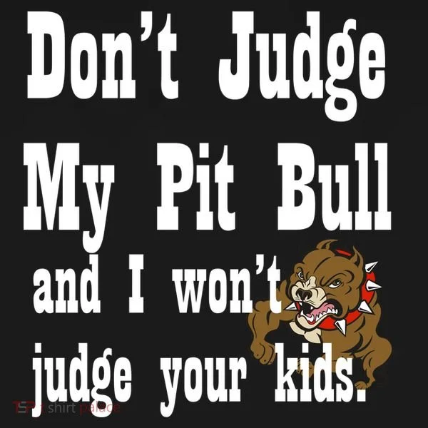 Don't Judge My Pit Bull Women's T-Shirt