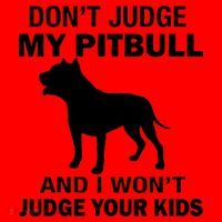 Don't Judge My Pitbull I Won't Judge Your Kids Santa Hat thumb 1
