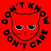Don't Know Don't Care Funny Cat Santa Hat thumb 1