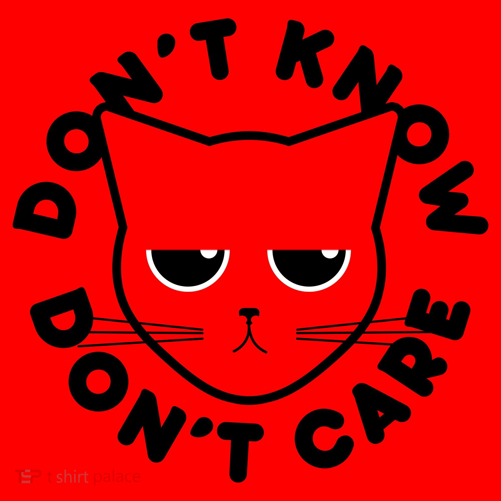 Don't Know Don't Care Funny Cat Santa Hat