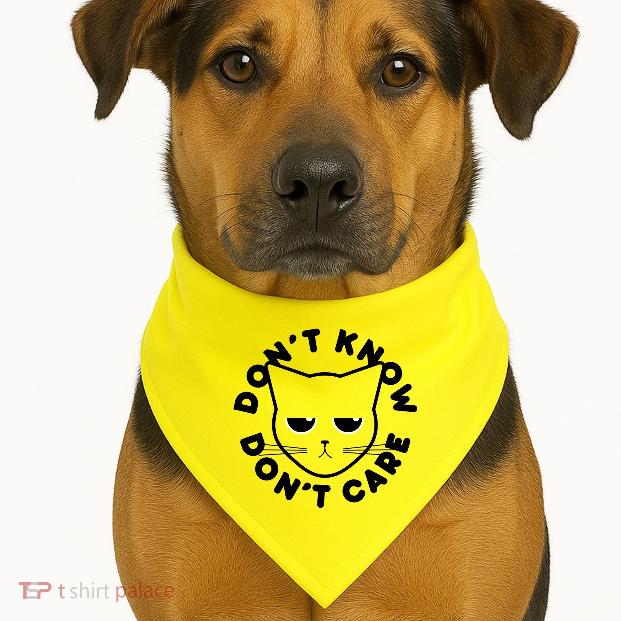 Don't Know Don't Care Funny Cat USA-Made Doggie Bandana